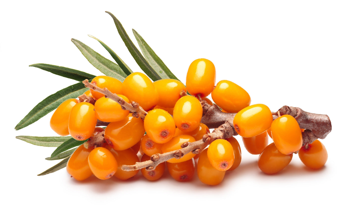 9 in 1 SAFFRON & SEABUCKTHORN  ANTIOXIDANT FACE SERUM OIL