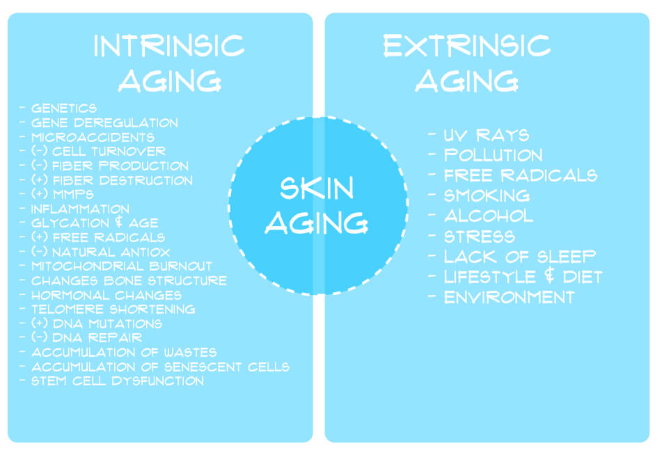 Fight The Signs of Aging with Our Super Powerful Tripeptide Triple (wrinkle defense) Face Serum